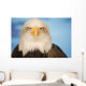 Portrait Of A Bald Eagle Wall Mural