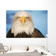 Portrait Of A Bald Eagle Wall Mural