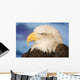 Profile Of A Bald Eagle Wall Mural