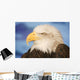 Profile Of A Bald Eagle Wall Mural