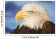 Profile Of A Bald Eagle Wall Mural