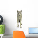 A Wolf Wall Decal