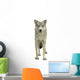 A Wolf Wall Decal