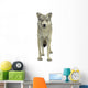 A Wolf Wall Decal