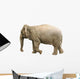 Elephant Wall Decal