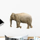 Elephant Wall Decal