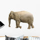 Elephant Wall Decal