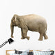 Elephant Wall Decal