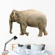 Elephant Wall Decal