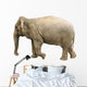 Elephant Wall Decal