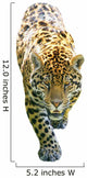 A Leopard On The Prowl Wall Decal