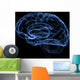 brain Wall Mural
