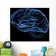 brain Wall Mural