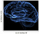 brain Wall Mural
