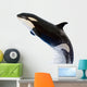 A Killer Whale Wall Decal