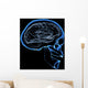 human brain Wall Mural