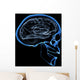 human brain Wall Mural