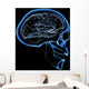 human brain Wall Mural
