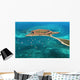 fort jefferson - dry tortugas national park Wall Mural