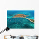fort jefferson - dry tortugas national park Wall Mural