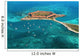 fort jefferson - dry tortugas national park Wall Mural