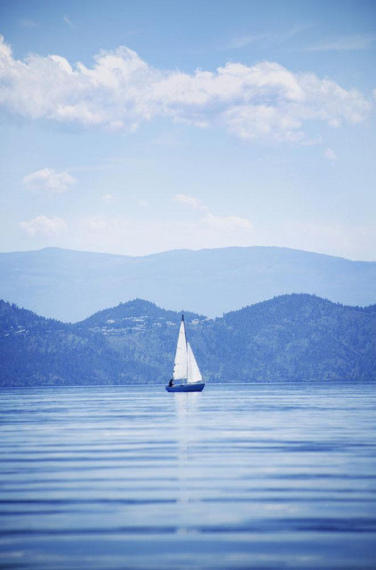 A Sailboat Wall Mural