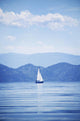A Sailboat Wall Mural