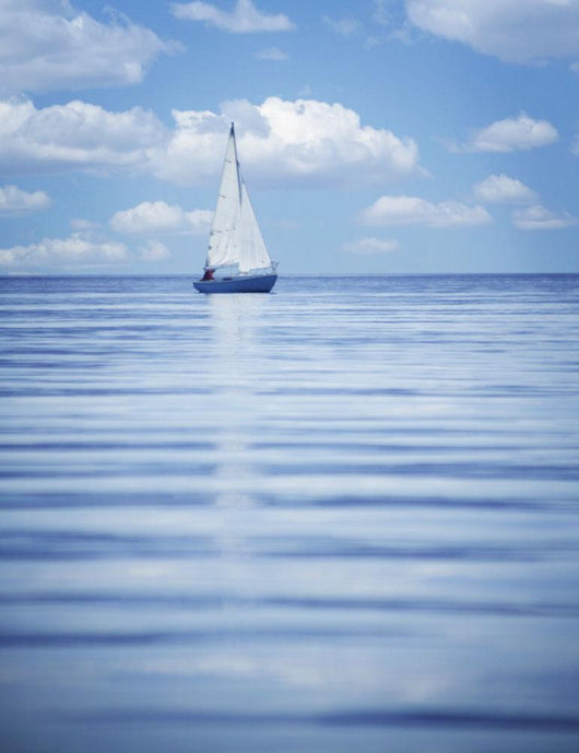 A Sailboat Wall Mural