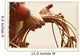 Cowboy Holding Lasso Wall Mural