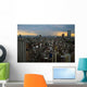 Tokyo Storm Wall Decal