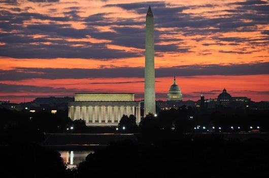 Washington DC Skyline Wall Decal
