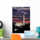 Washington DC Skyline Wall Mural