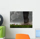 Tornado