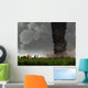 Tornado