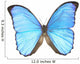 A Blue Butterfly Wall Decal