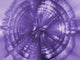 A Purple Circle Wall Mural