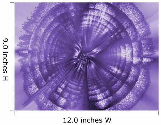 A Purple Circle Wall Mural