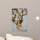 Cheetah Sitting Tree South Wall Mural