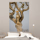Cheetah Sitting Tree South Wall Mural