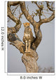Cheetah Sitting Tree South Wall Mural
