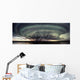A Severe Storm Wall Mural