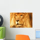 A Lion Wall Mural