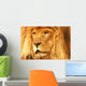 A Lion Wall Mural