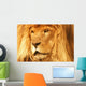 A Lion Wall Mural
