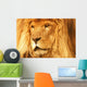A Lion Wall Mural