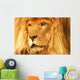 A Lion Wall Mural