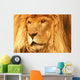 A Lion Wall Mural