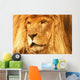 A Lion Wall Mural