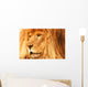 A Lion Wall Mural