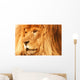 A Lion Wall Mural